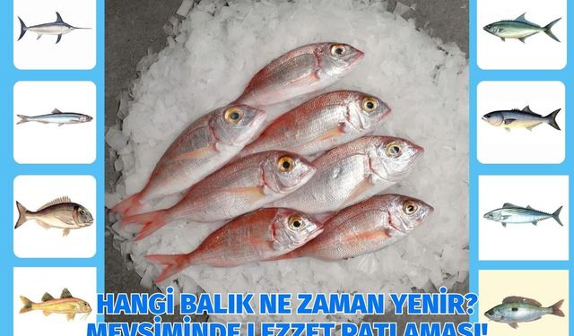 Hangi Balık Ne Zaman Yenir? Mevsiminde Lezzet Patlaması!